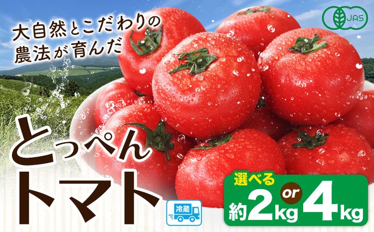 
                  有機JASとっぺんトマト 約2kg 約4kg 旬 お取り寄せ 詰め合わせ 贈答 ギフト お中元 お歳暮 熊本 阿蘇 産山村 送料無料 トマト 無農薬 有機《7月上旬-8月下旬頃出荷》
                