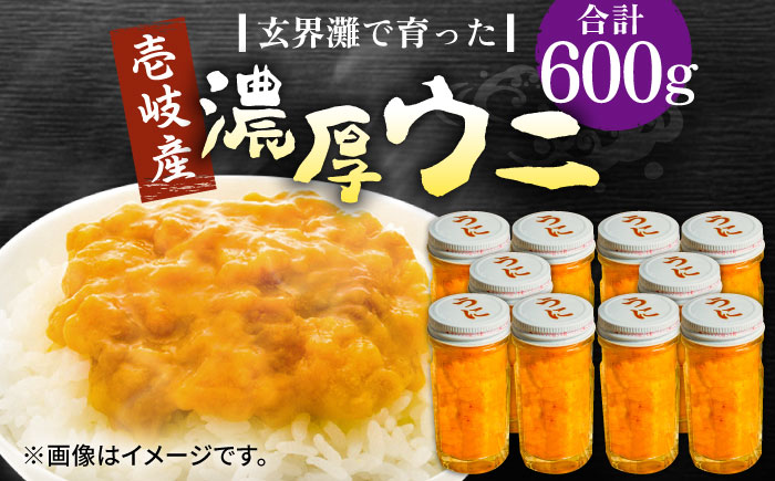 壱岐産 濃厚 ウニ 60g ×10本《壱岐市》【合同会社塚元】ムラサキウニ 海産物 海鮮 ウニ うに 雲丹 珍味 [JDR042]