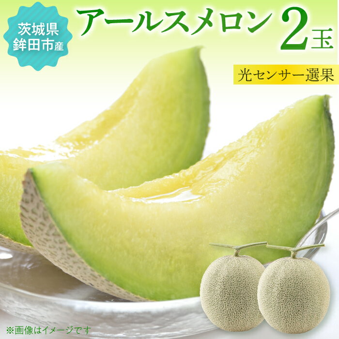 【ふるさと納税】メロン めろん アールスメロン 2玉 おすすめ 人気 国産 青肉 産地直送 茨城 鉾田 フルーツ 旬 大きい プレゼント 贈り物 旬 定番 果物 くだもの 甘い 上質 緑肉 極 輝 特秀 青 青肉 サングリーン旭
