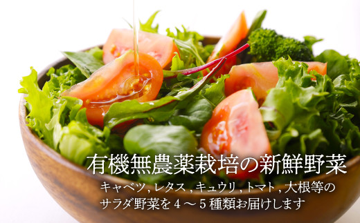 シェフ激選！栽培期間中農薬不使用！旬の野菜と、こだわりの手作りカレーセット