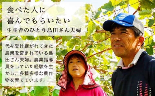 代々受け継がれてきた農業を営まれている島田さん夫婦。農業指導員をしていた経験を生かし、多種多様な農作物を育てています。