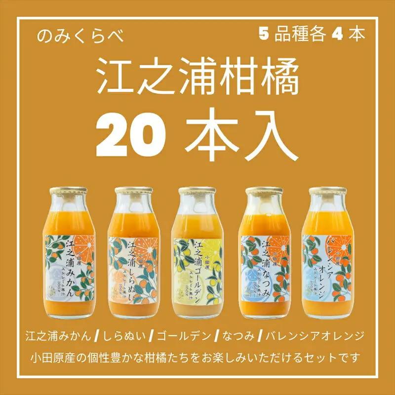 小田原産江之浦みかんジュース５種のみくらべ2０本セット うんしゅう・しらぬい・ゴールデン・なつみ・バレンシアオレンジ１００％ストレートジュース１８０ml各４本合計２０本【みかんジュース みかんジュース 神奈川県 小田原市 】