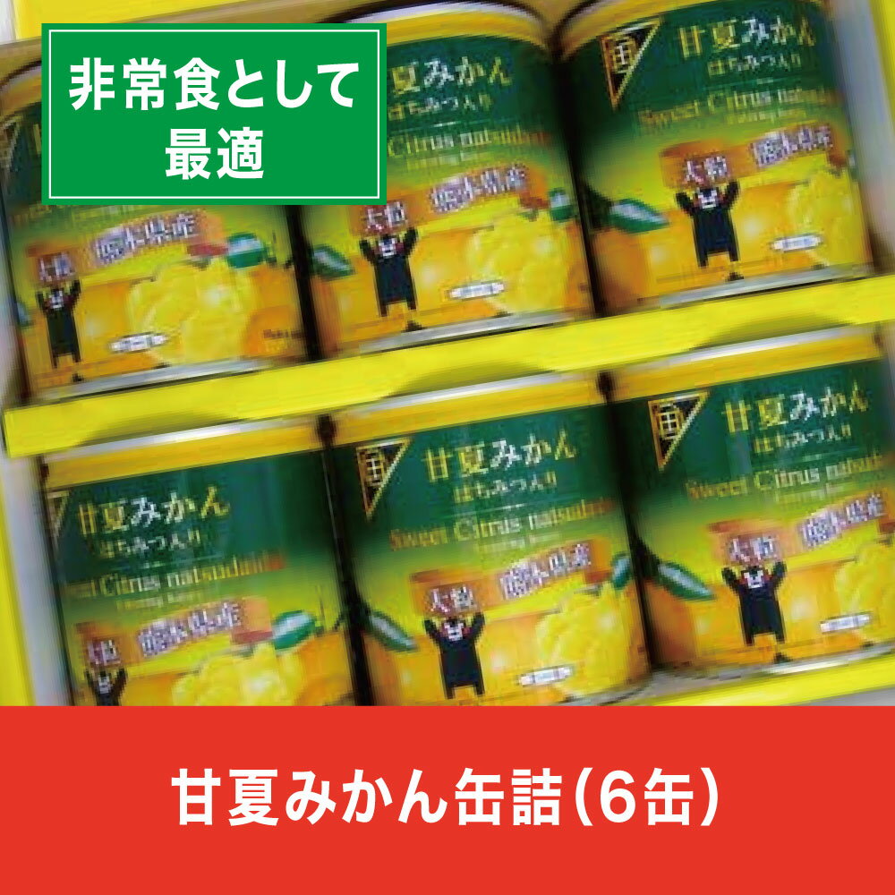 【ふるさと納税】缶詰 セット ギフト かんづめ 甘夏 夏みかん みかん 保存食　甘夏みかん缶詰（6缶入）