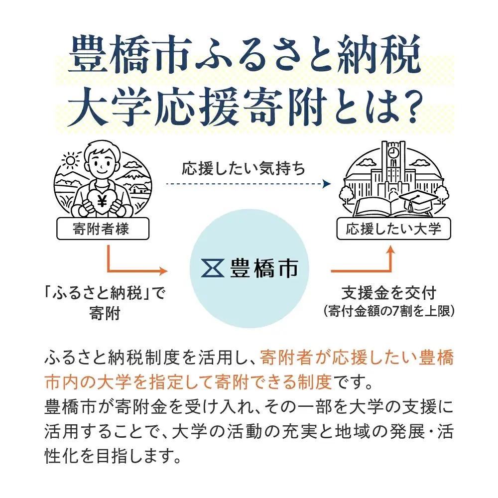 ≪返礼品無し≫【豊橋技術科学大学】豊橋市大学応援寄附 10000円 大学寄附 愛知県豊橋市への寄附 返礼品無し 寄附のみ 豊橋市 穂の国 東三河 10000円 ポッキリ 愛知県 豊橋市