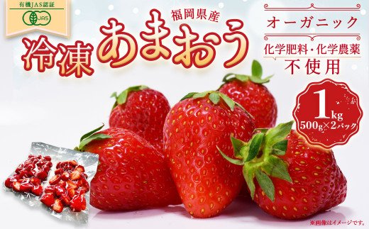 オーガニック冷凍あまおう 1kg (500g×2パック)【伊世いちご畑】_HA1315