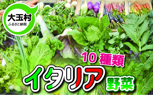 
イタリア野菜セット(8～10種類)【01127】
