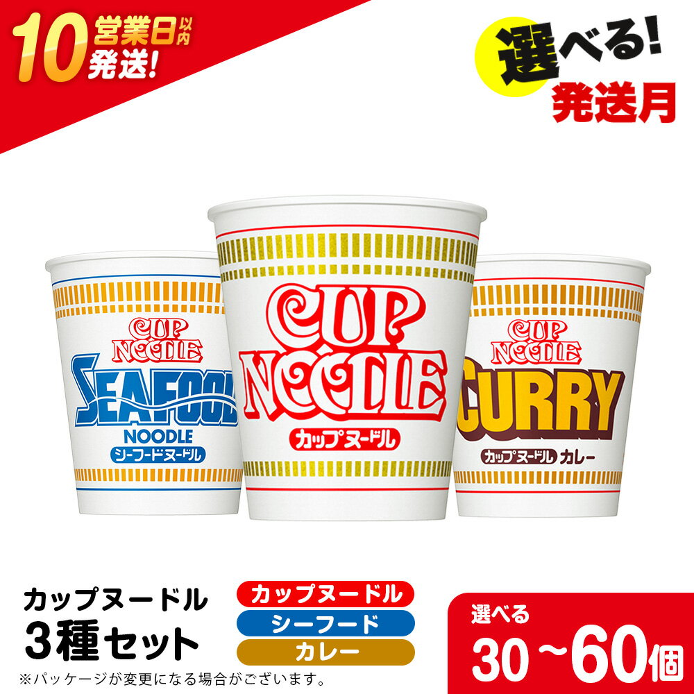 【ふるさと納税】 日清ヌードル3種セット 選べる各10食・各20食入 合計30食・60食 麺類 ラーメンラーメン麺 即席麺 麺類 ラーメン カップ麺 インスタント 麺類 カップラーメン 【北海道千歳市】ギフト ふるさと納税