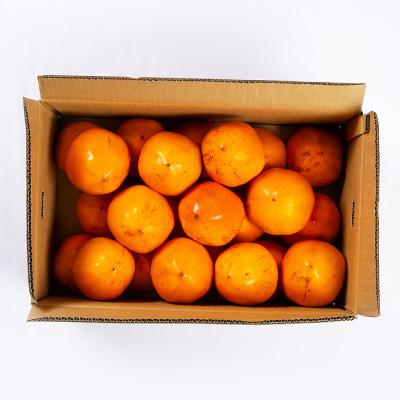 ふるさと納税 八幡浜市 【2026年発送】目利きのプロが選ぶ　訳あり富士柿10kg【E56-38】 |  | 01