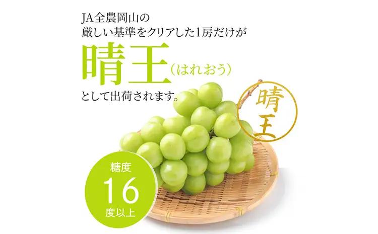 ぶどう シャインマスカット晴王【特大房】約1kg×2房 計2kg  橋田商店有限会社 シャインマスカット