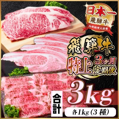
            レビューキャンペーン実施中!＜毎月定期便＞飛騨牛 特上定期便 計3kg全3回　小分け【4057132】
          