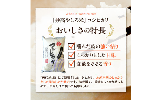 【先行予約】 令和8年産 【12ヵ月定期便】 新潟県 妙高やしろ米 コシヒカリ60kg (5㎏×12回) 【11月中旬より発送】 定期便 お米 米 コメ 精米 新潟 妙高市 米どころ こめ ご飯 ごは