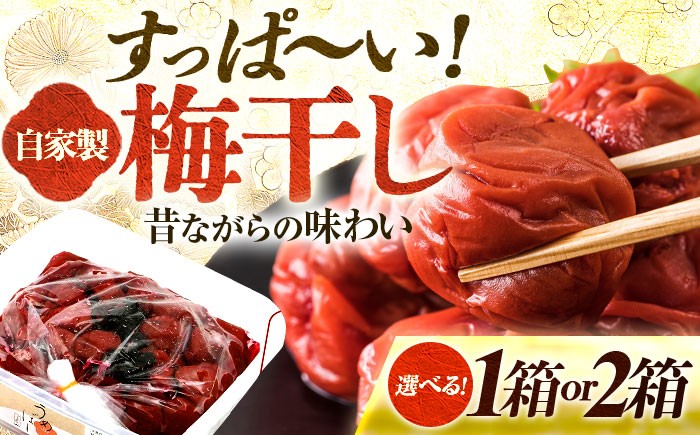 
                  自家製 梅干し＼選べる容量900g × 1箱or2箱／ / うめぼし 梅 うめ 福井県 小浜市 /  今富食料品店 [BFAN004]
                