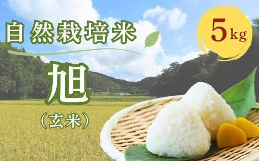 【玄米・お米】自然栽培米 旭（R7年産 玄米）5kg | 玄米 旭玄米 米玄米 玄米5kg 白米 げんまい お米 産地直送 つきひのおこめ 月日 大分県 九州 豊後高田市