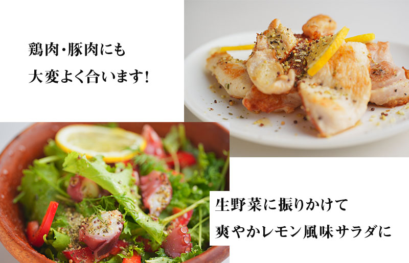 【スピード発送】焼き肉専門店 レモン塩 スパイス 90g×1袋 お試し W117