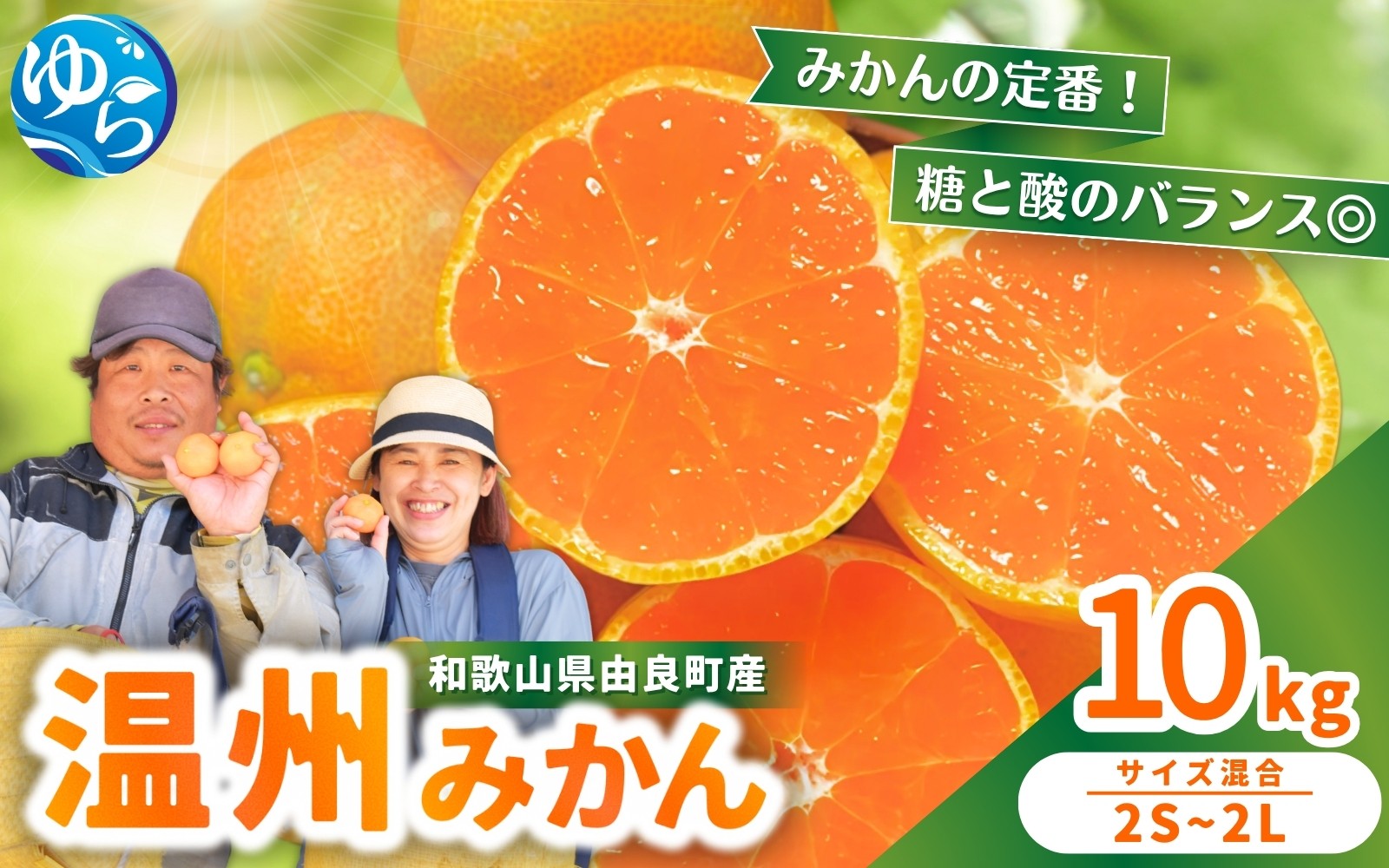 
            温州みかん 10kg 2S～2Lサイズ混合 ※2025年12月上旬～順次発送 / 温州 ミカン 農家直送　完熟 密柑 くだもの  果実  柑橘 果物 フルーツ 和歌山県 由良町 人気 おすすめ 産地直送【nktn011-sp-12】
          