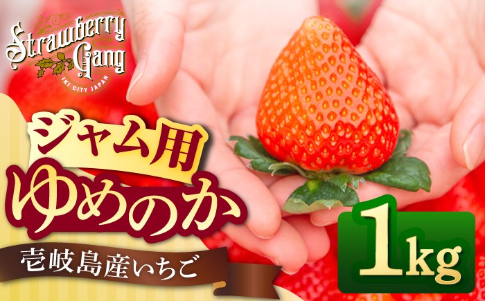 
                  【先行予約】【ジャム用】ゆめのか（小玉・中玉） 1kg 【2027年1月以降順次発送】《壱岐市》【Strawberry Gang】[JEM007] セット いちご イチゴ 苺 果物 フルーツ スムージー お菓子作り ジャム 材料 春の味覚 13000 13000円
                