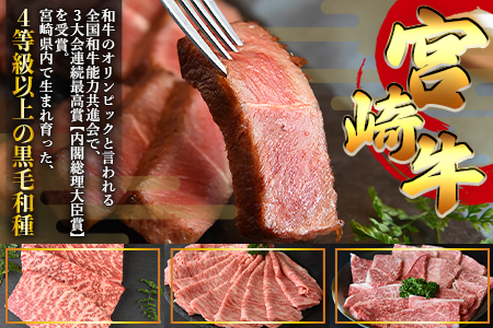 ＜宮崎牛ウデ焼肉 400g ＋宮崎県産黒毛和牛こま切れ 100g＞2か月以内に順次出荷【a0394_my_x3】