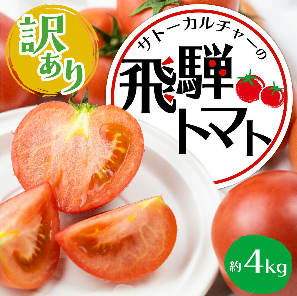 【ふるさと納税】令和7年産先行予約【訳あり】飛騨トマト 約4kg 産地直送 野菜 とまと トマト 麗月 夏野菜 訳あり 玉数・大きさおまかせ 15〜28玉 サトーカルチャー [Q1387] 10000円 1万円
