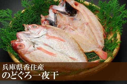 33-15 兵庫県香住産 のどぐろ一夜干 約700g（6～10枚）