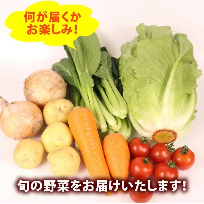 【朝採れ】定期便 3か月 野菜セット 6~7品目 以上 お野菜 季節 丸新柴本製茶 静岡 県 牧之原市