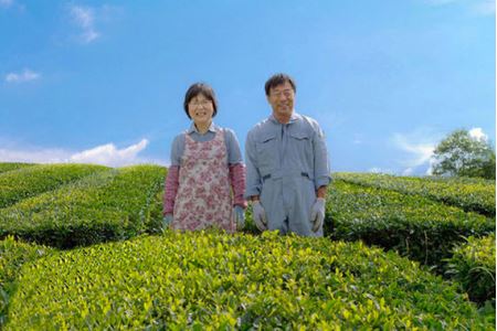 美濃茶詰合せ
