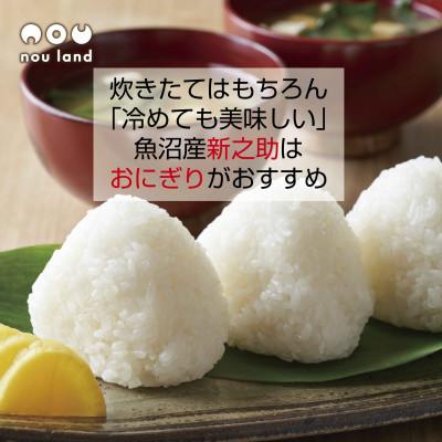 ふるさと納税 十日町市 【令和7年産 予約】 【新品種】 魚沼産 新之助 10kg  新潟県 十日町市 のうランド |  | 01