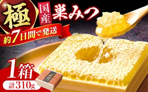 極巣みつ 310g 蜂蜜 はちみつ ハチミツ すみつ 巣蜜 蜂蜜 コムハニー 極上蜂蜜 濃厚蜂蜜 ギフト グリークヨーグルト アサイーボウル パンケーキ ソフトクリーム オシャレ スピード配送 広川町 / 株式会社九州蜂の子本舗 [AFAI007]