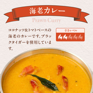 ダルマサーガラ　南インドカレーセットC_カレー 南インドカレー セット インドカレー 2種 各1パック 計 600g レトルト 本場の味 ほうれん草チキンカレー 海老カレー マイルド ダルマサーガラ 