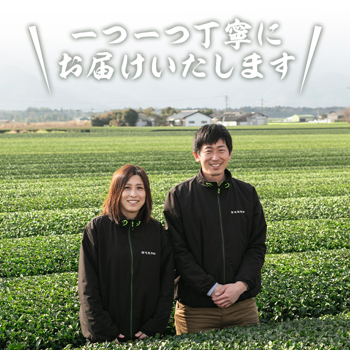 【新型コロナ被害支援】かのや深蒸し煎茶１０袋セット