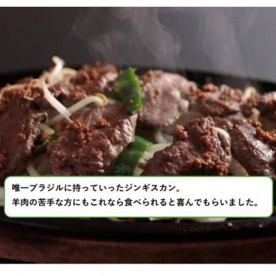 ふるさと納税 安平町 安平のジンギスカン「あびじん」2種セット(クラシック・スパイシー) |  | 03