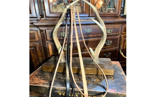 [13mm幅] 本革 高級 ベンズ の ショルダーリード 犬 ヌメ