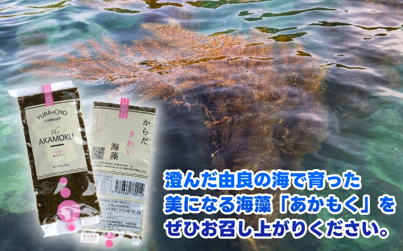 ［由良町産］ 紀州 あかもく 由良町産 100g×5パック 2025年産/ 海藻 フコイダン もずく 【sml214-100-5】