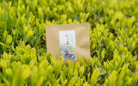 なっ茶と煎茶セット（ティーバッグ5個付） (なっ茶(釜炒り茶)40g・なっちゃんの煎茶40g・ティーバッグ5個）/ 和歌山  田辺市  健康  お茶 和風  煎茶 釜炒り茶 ティーバッグ 番茶 【nt