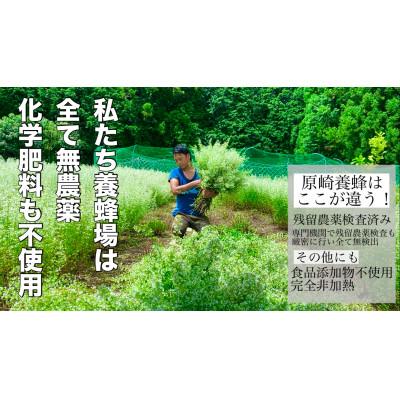 ふるさと納税 森町 【農薬・化学肥料も一切使用せず育てたお花から採蜜した山の国産蜂蜜】匠の高級はちみつ/180g/百花蜜 |  | 02