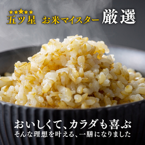【定期便6ヶ月】金賞健康米 金のいぶき 玄米 パックご飯 120g×12個 GABA