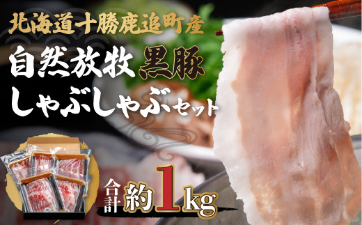 
鹿追産 自然放牧黒豚しゃぶしゃぶセット 【 ふるさと納税 人気 おすすめ ランキング 黒豚 豚肉 肉 ポーク 黒豚肉 黒豚ロース 黒豚肩ロース 黒豚バラ肉 しゃぶしゃぶ 北海道 鹿追町 送料無料 】 SKN001
