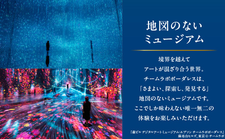 【ヒルズ周遊（麻布台・虎ノ門）ペア体験】チームラボボーダレス／ステーションタワー45F NODE DINING コース料理 │ 東京 食事券 レストラン