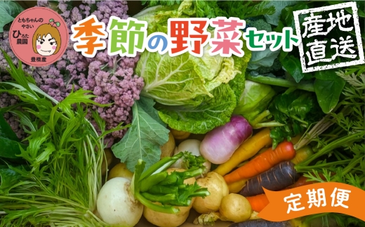 彩り野菜セット 3種 5回お届け 定期便 豊橋 国産 ミネラルたっぷり 海風そだち 潮風 家族で 大容量 豊橋 ともちゃんのやさい 直売所で大人気！ 愛知県 豊橋市 安心野菜 ブロッコリー キャベツ