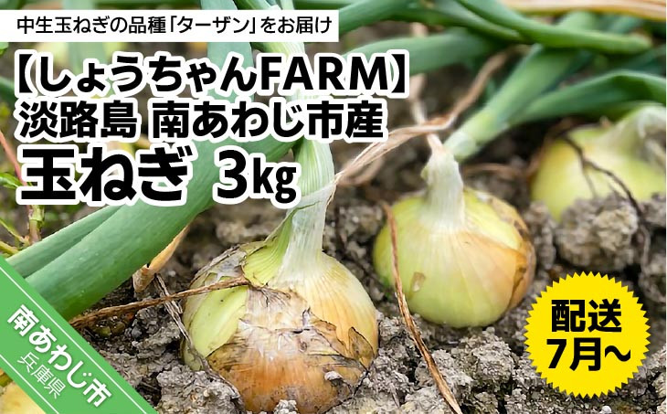 
淡路島　南あわじ市産玉ねぎ3kg　◆配送7月～
