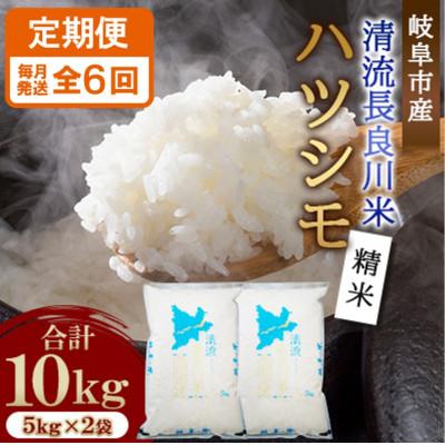 ふるさと納税 岐阜市 【毎月定期便】岐阜市産 ハツシモ 清流長良川米 精米 10kg(5kg×2袋)　全6回