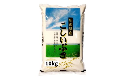 【 令和7年産新米】新潟産 こしいぶき 10kg（5kg×2袋） 白米 精米 1N17030
