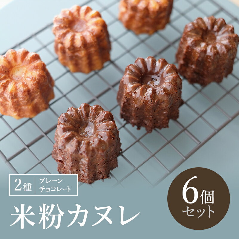 【ふるさと納税】米粉カヌレ 2種 6個 セット プレーン チョコ グルテンフリー 小麦粉不使用 外はカリッ 中はモチッ 新食感 スイーツ 焼き菓子 お取り寄せ お菓子 個包装 冷凍保存 詰め合わせ 贈り物 プレゼント 京都 京田辺市