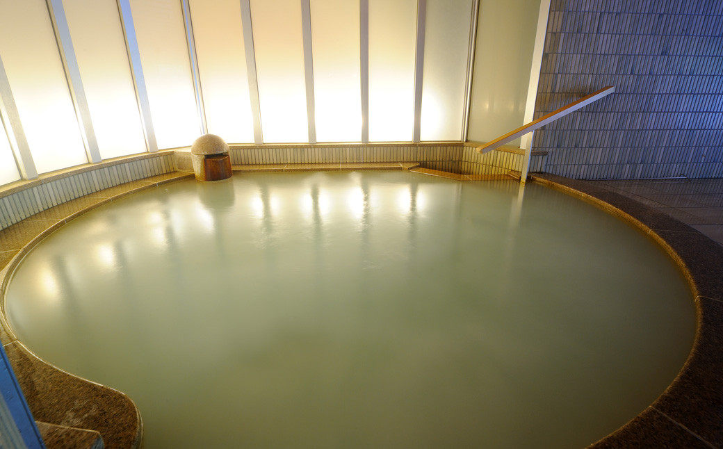 新鉛温泉 結びの宿  愛隣館  日帰り 入浴券 （10枚セット） 【1267】