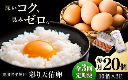 【卵 定期便3か月】平飼いたまご 彩り天佑卵 20個 [AIDL012] 