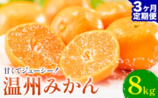 【3ヶ月定期便】 温州みかん 約8kg 日本フルーツ株式会社 熊本県 荒尾市 《10月上旬-12月末頃出荷》 デコポン 果物 フルーツ スイーツ デザート