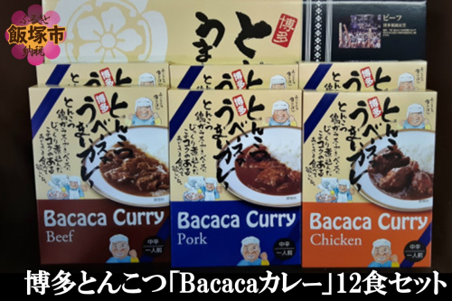 博多とんこつ「Bacacaカレー」12食セット【C-124】