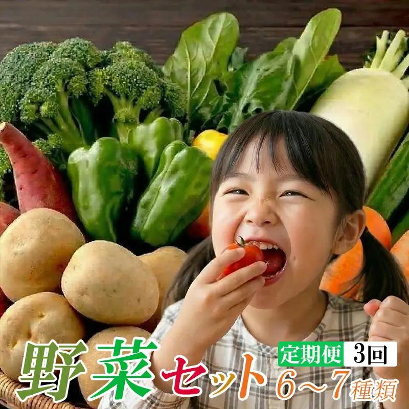 【定期便/計3回】安芸野菜（6、7種）【野菜】AD013