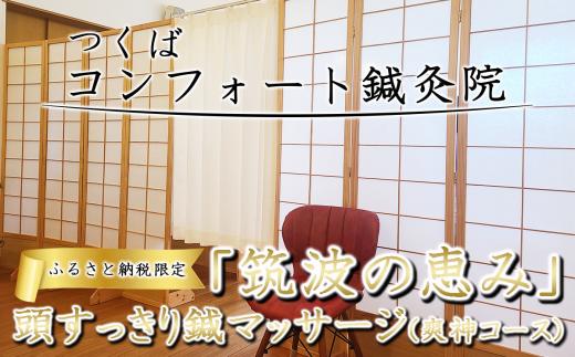 ふるさと納税特別メニュー コンフォート鍼灸院「筑波の恵み 頭すっきり鍼マッサージ（爽神コース）」  │ 鍼灸 ツボ しんきゅう はりきゅう 自律神経 マッサージ リラクゼーション 癒し ヒーリング 指圧 茨城県 つくば市