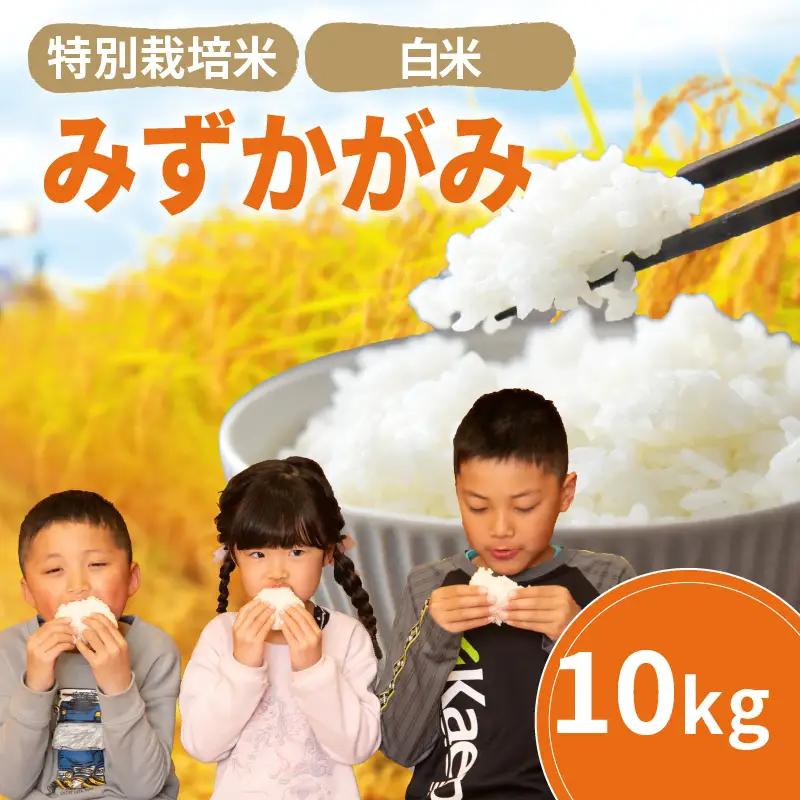 みずかがみ 白米 10kg 2025年産 竜の舞 特別栽培米 国産 安心 安全 近江米 米 お米 白米 お弁当 玄米 産地直送 滋賀県 竜王町 送料無料