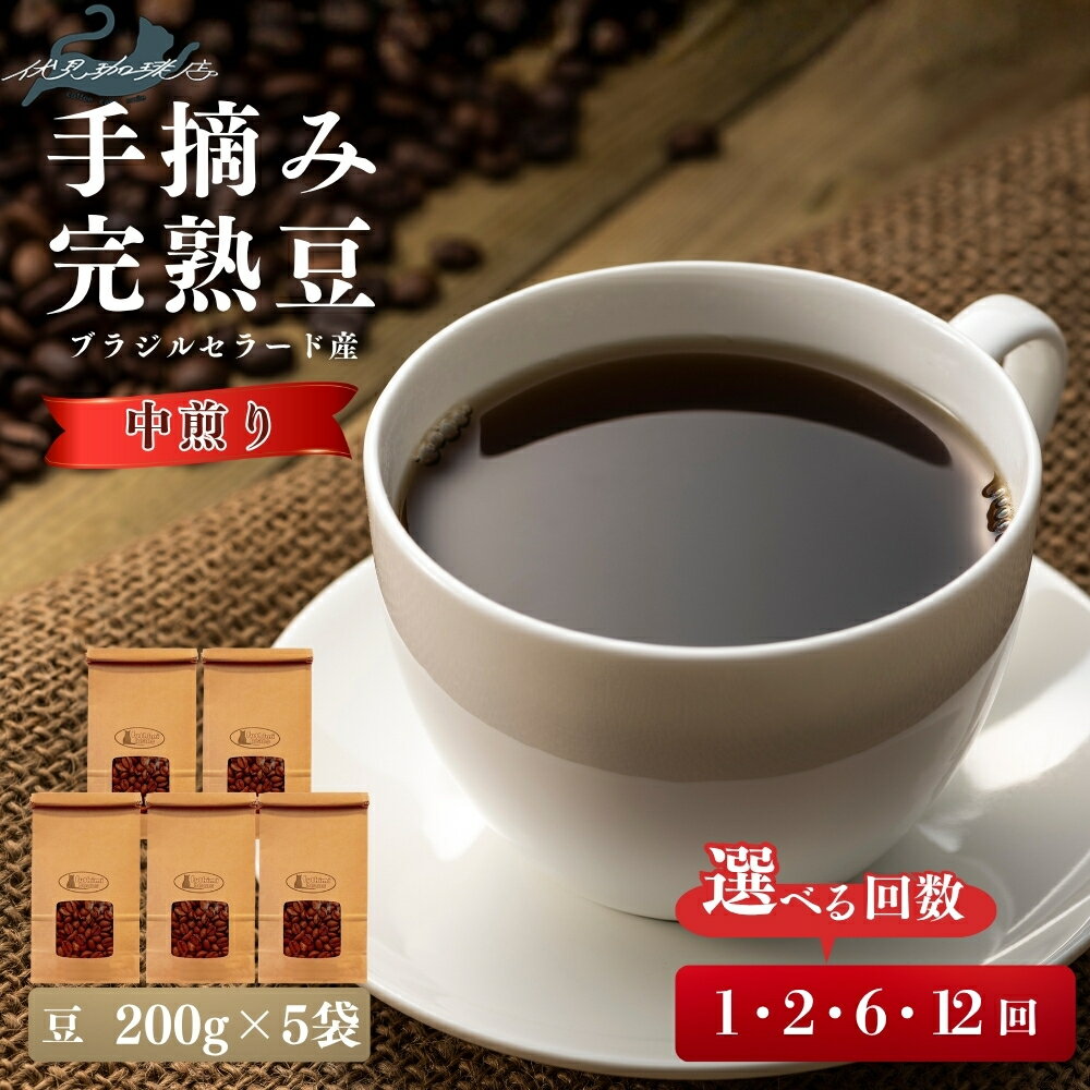 【ふるさと納税】【風味豊かなブラジル・セラード産の完熟豆を使用】手摘み完熟豆（200g×5袋）選べる お届け回数 1回 2回 6回 12回